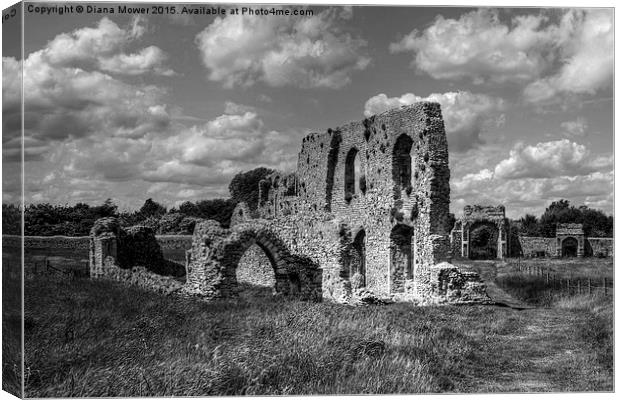  Greyfriars Priory, black and white Canvas Print by Diana Mower