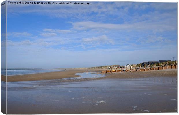  Camber Sands Canvas Print by Diana Mower