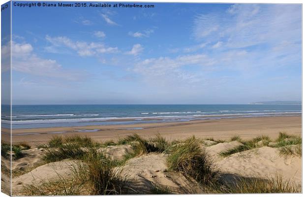  Camber Sands Canvas Print by Diana Mower