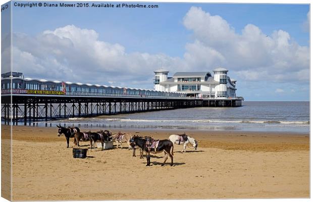  Weston Super Mare Donkeys on the Beach Canvas Print by Diana Mower