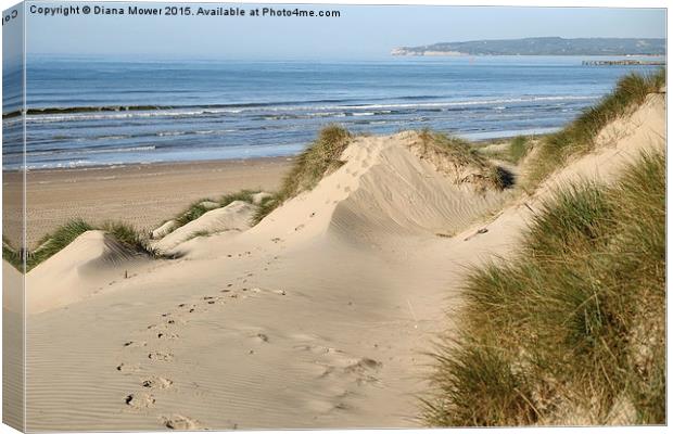  Camber Sands Canvas Print by Diana Mower