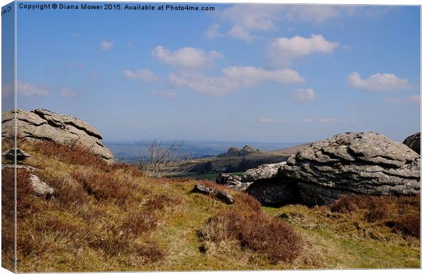  Hound Tor From Honeybag Tor Canvas Print by Diana Mower
