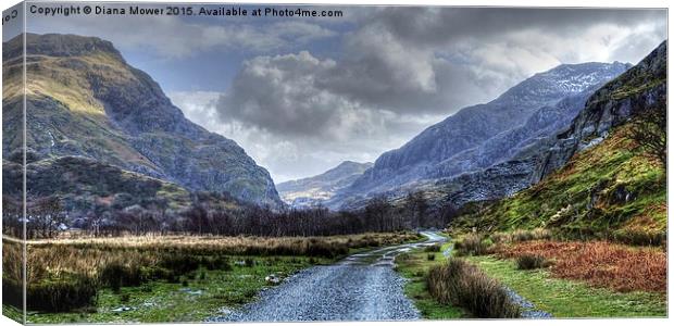 Snowdonia National Park Canvas Print by Diana Mower