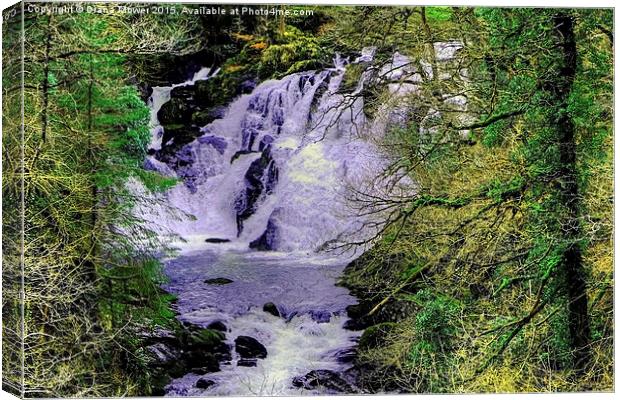  Swallow Falls Betws-y-Coed  Canvas Print by Diana Mower