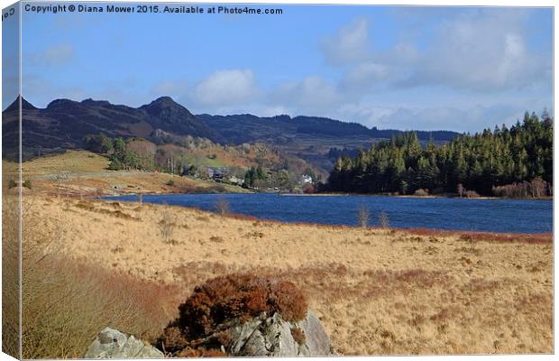  Llyn Mymbyr Snowdonia Canvas Print by Diana Mower