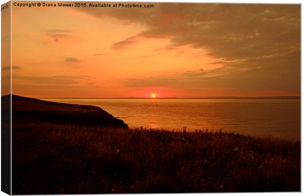  Sand Point Sunset Canvas Print by Diana Mower