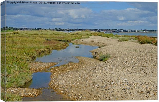  Mersea Stone  Canvas Print by Diana Mower