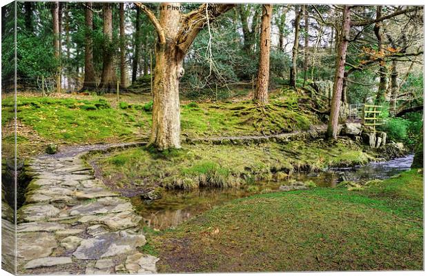  Betws-y-Coed Wales Canvas Print by Diana Mower
