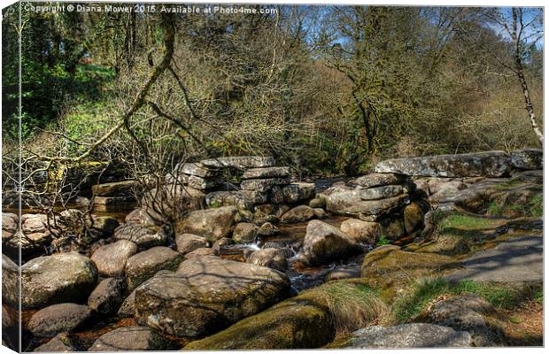 The East Dart, Dartmoor  Canvas Print by Diana Mower