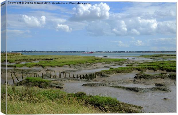 Tollesbury Marshes,  Essex  Canvas Print by Diana Mower
