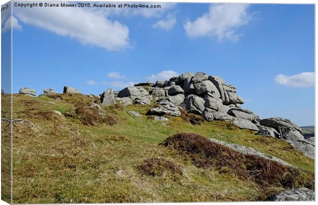  Bell  Tor, Dartmoor Canvas Print by Diana Mower