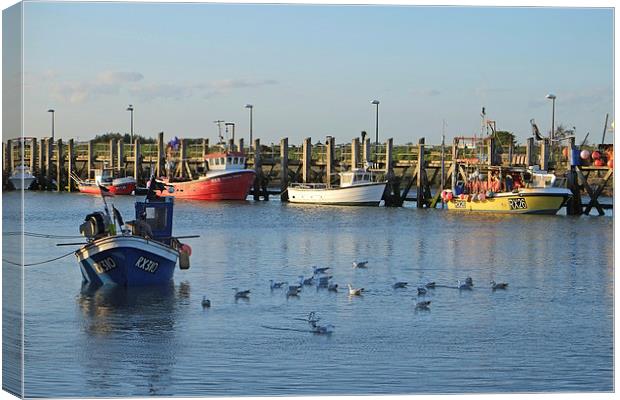  Rye Harbour, East Sussex Canvas Print by Diana Mower