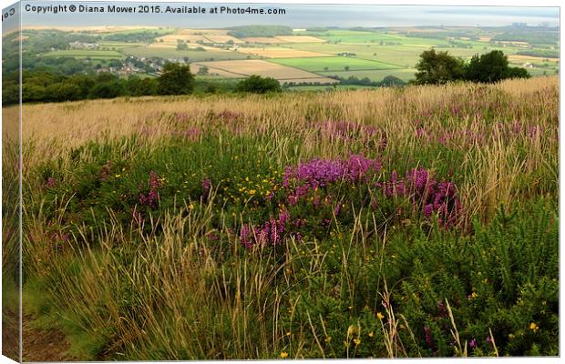  Quantock Hills Somerset Canvas Print by Diana Mower