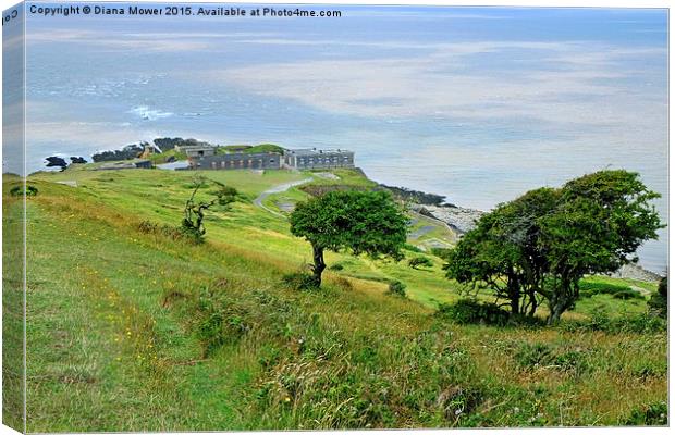  Brean Down Fort Canvas Print by Diana Mower