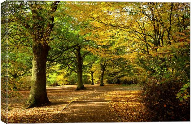  Epping Forest in Autumn Canvas Print by Diana Mower