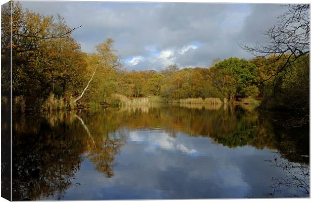 Epping Forest Lake  Canvas Print by Diana Mower