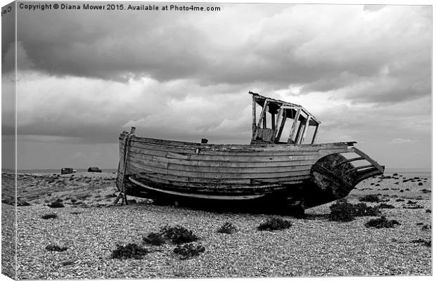  Dungeness Canvas Print by Diana Mower