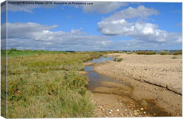  Mersea Stone,  East Mersea  Canvas Print by Diana Mower