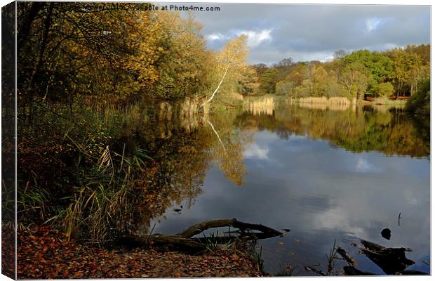  Wake Valley Pond Epping Canvas Print by Diana Mower