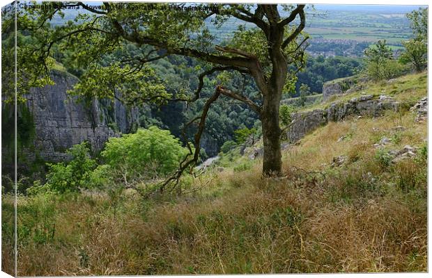  Cheddar Gorge  View Canvas Print by Diana Mower