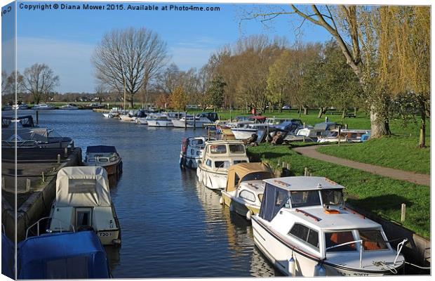  Beccles Suffolk Canvas Print by Diana Mower