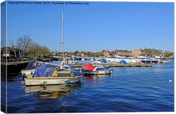 Oulton Broad  Canvas Print by Diana Mower