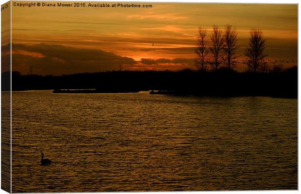  Abberton Reservoir Sunset Canvas Print by Diana Mower