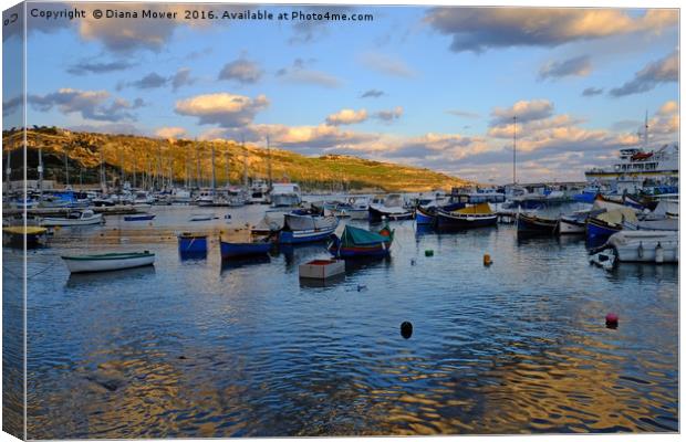 Gozo Harbour evening Canvas Print by Diana Mower