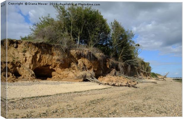 East Mersea Beach Canvas Print by Diana Mower