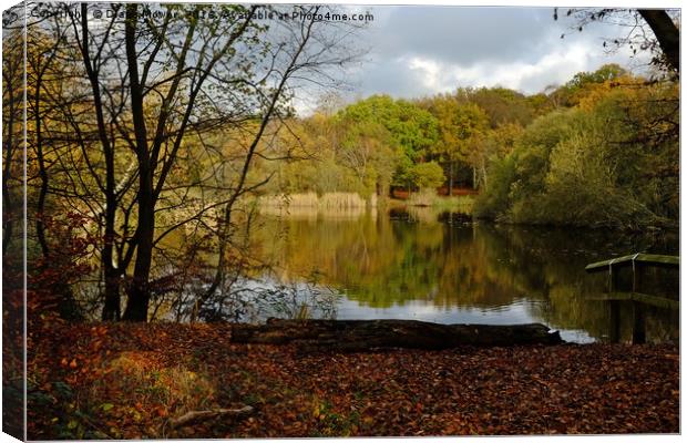 Wake Valley Pond, Epping. Canvas Print by Diana Mower