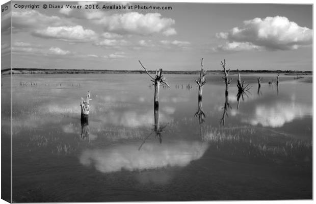 High Tide, Tollesbury Marshes, Essex. Canvas Print by Diana Mower