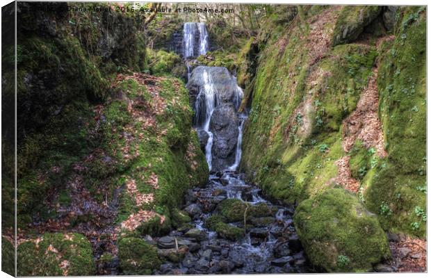 Clampit Falls Devon Canvas Print by Diana Mower