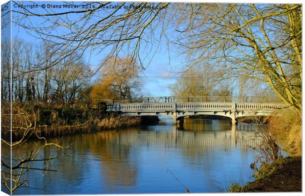 River Stour, Melford, Suffolk Canvas Print by Diana Mower