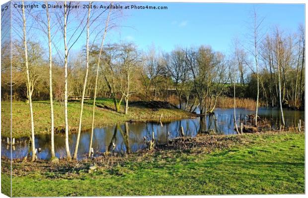  Long Melford Country Park, Suffolk Canvas Print by Diana Mower