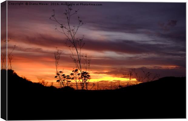 English Countryside Sunset Canvas Print by Diana Mower