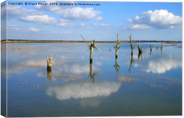 Tollesbury Marshes at High Tide Canvas Print by Diana Mower