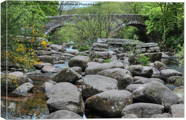 Dartmeet Devon Canvas Print by Diana Mower