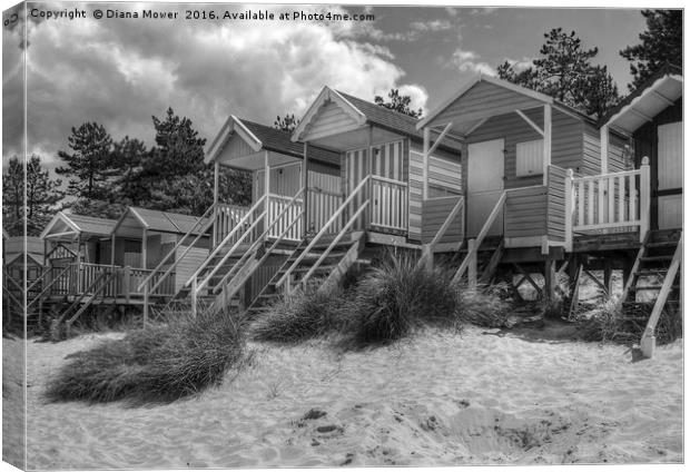 Wells Beach Huts Canvas Print by Diana Mower