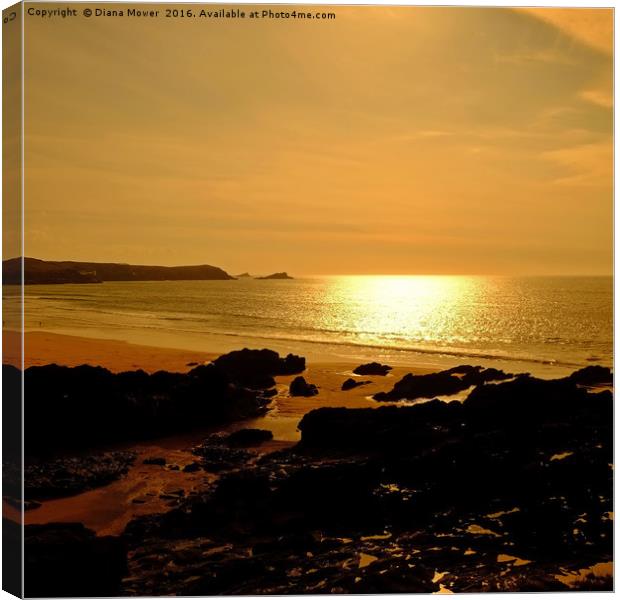 Fistral Beach Sunset   Canvas Print by Diana Mower