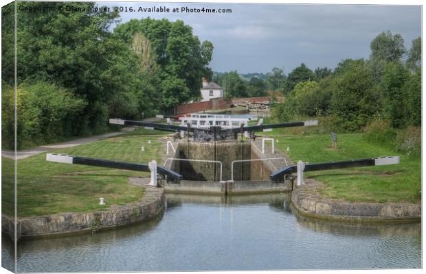 Kennet and Avon Canal Canvas Print by Diana Mower