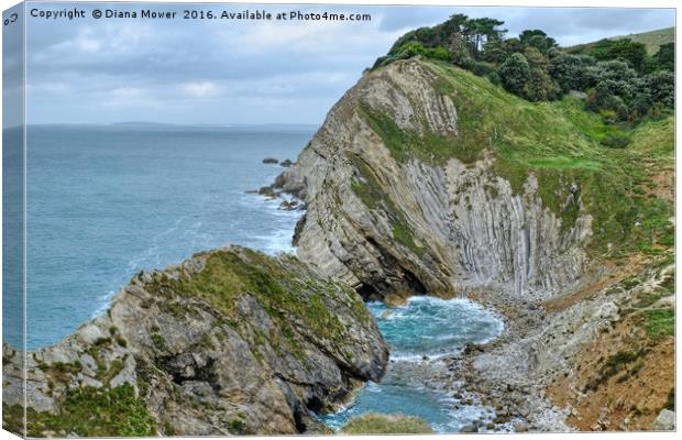  Stair Hole, Lulworth Cove.  Canvas Print by Diana Mower