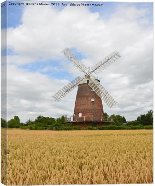 Thaxted Windmill Canvas Print by Diana Mower