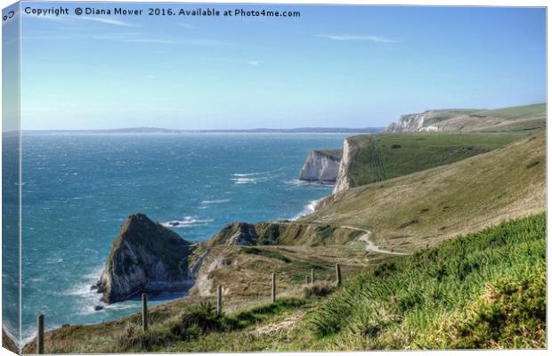 The South West Coast path  Dorset. Canvas Print by Diana Mower