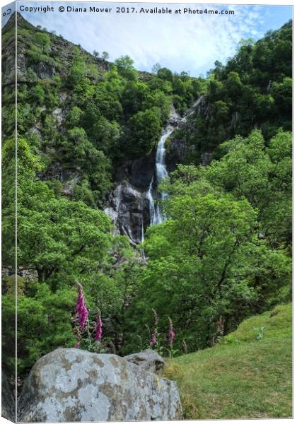 Aber Falls  Canvas Print by Diana Mower