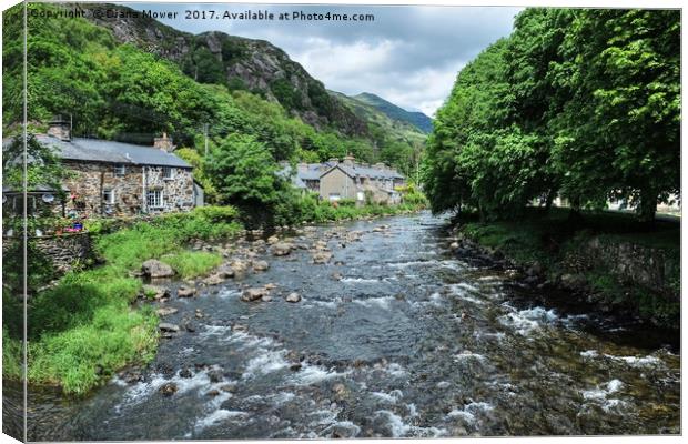 The river at Beddgelert   Canvas Print by Diana Mower