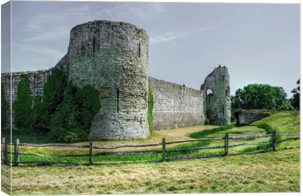 Pevensey Castle Canvas Print by Diana Mower