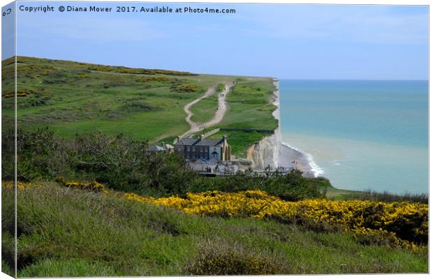 Birling Gap and The Seven Sisters  Canvas Print by Diana Mower