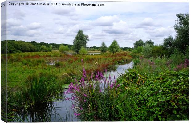 The River Ingrebourne Canvas Print by Diana Mower