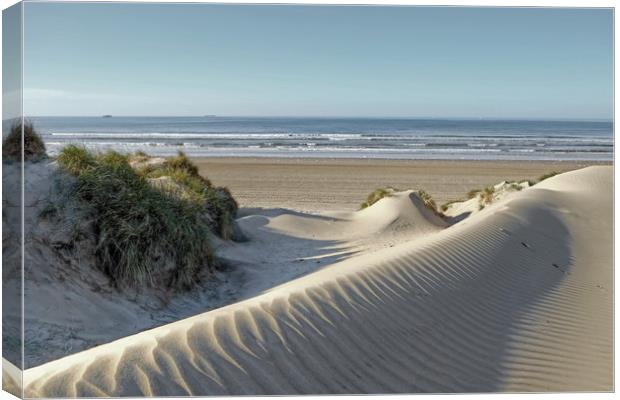 Camber Sands Canvas Print by Diana Mower