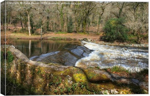 The River Dart at Holne Weir. Canvas Print by Diana Mower
